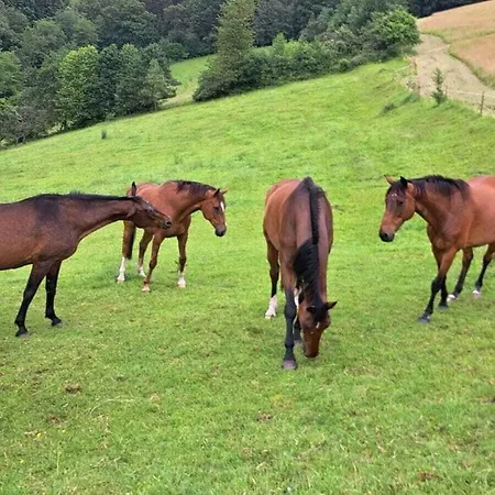 With 1 Bedroom Apartmán *