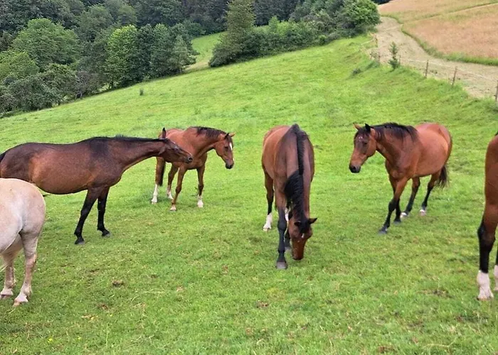 With 1 Bedroom Apartmán *