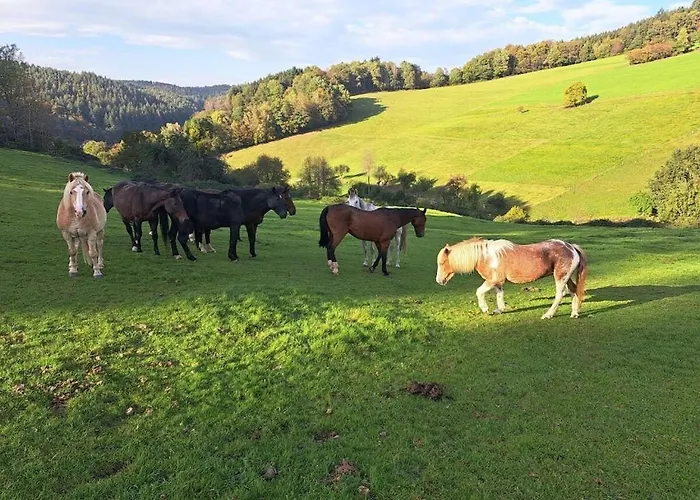 With 1 Bedroom Oberzent