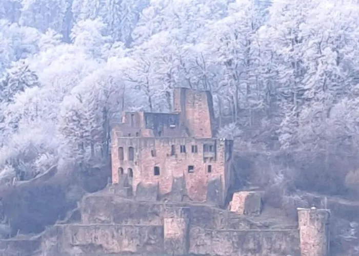 Apartmán With 1 Bedroom